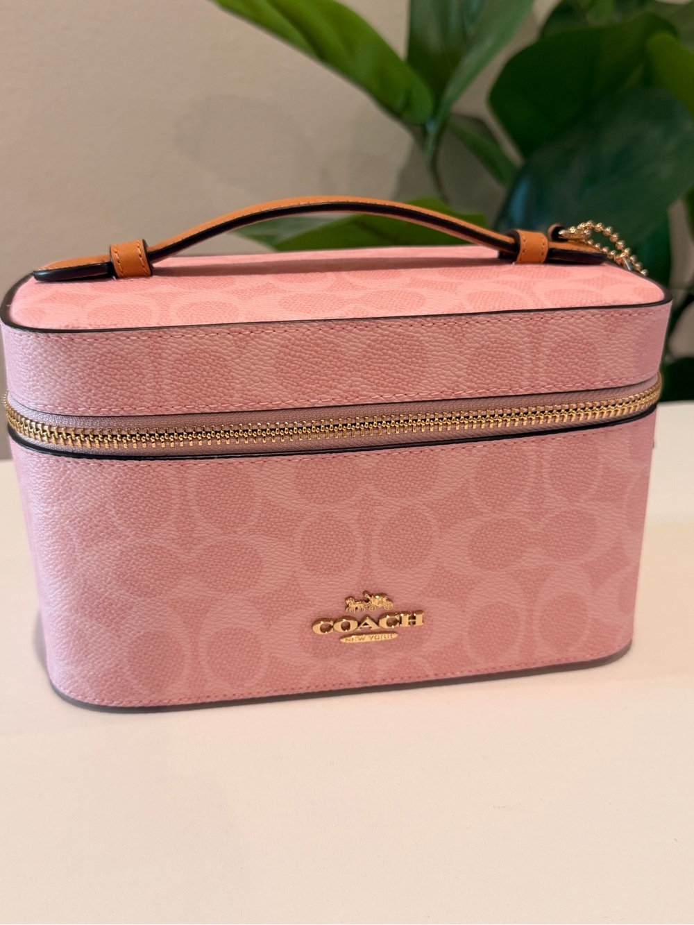 COACH Powder Pink Vanity Case BNWT